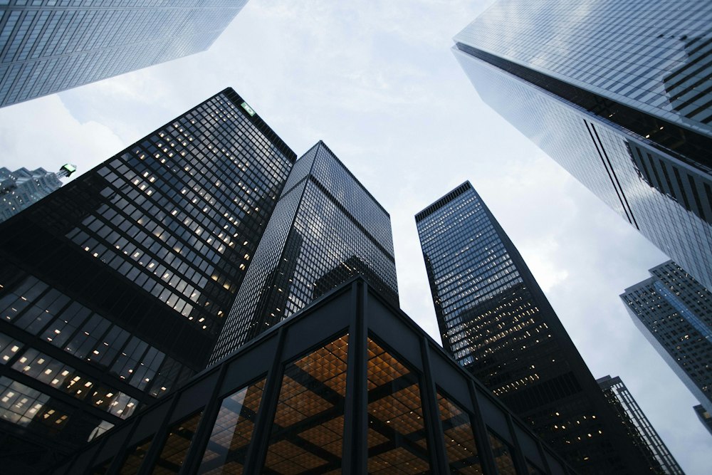 AlfaEx headquarters - global fintech company